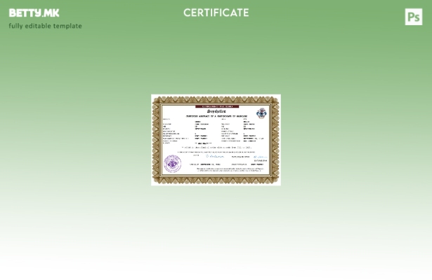 модерен стил Сејшели сертификат за брак Шаблон Word и PDF шаблон